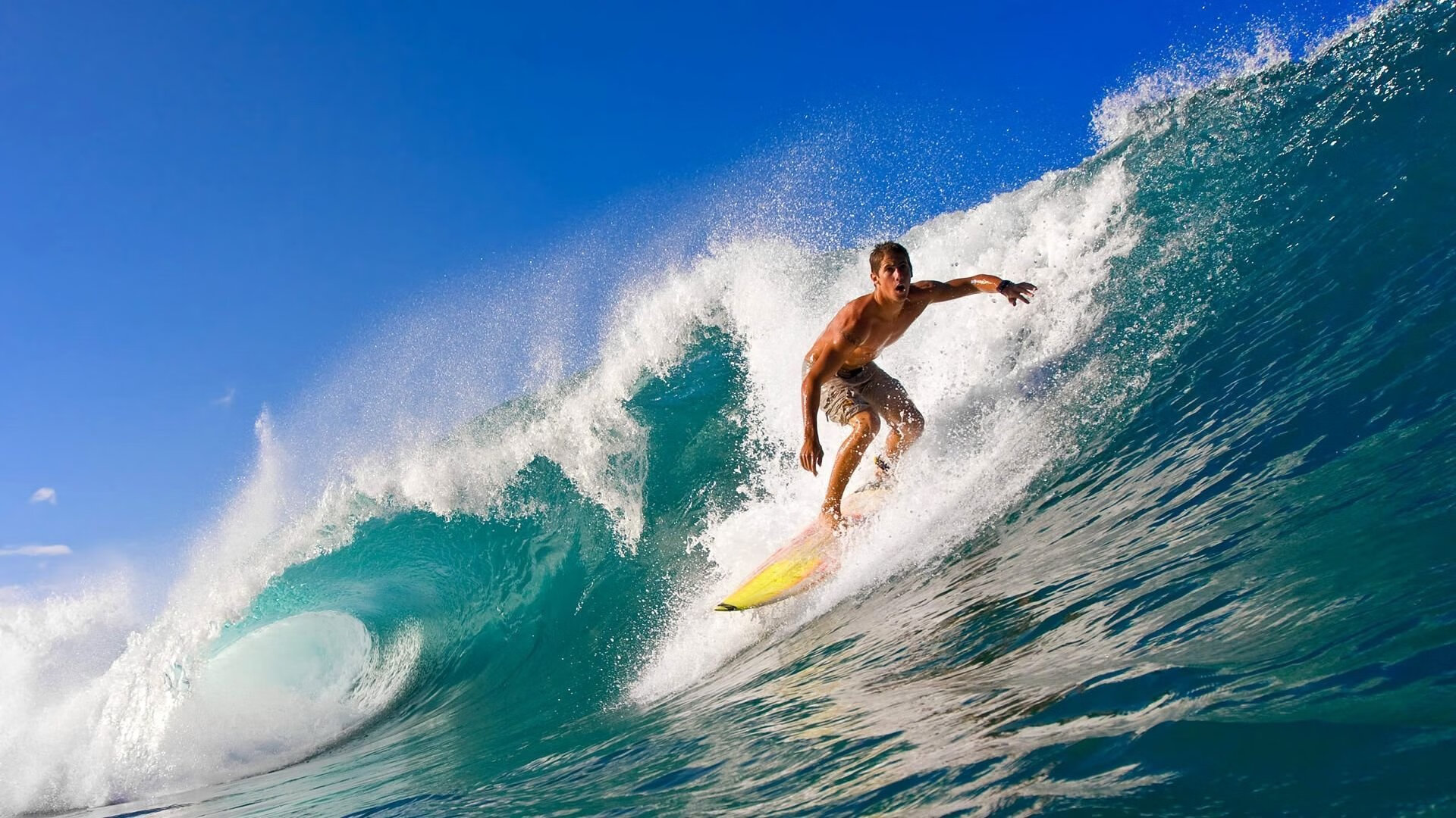 美洲杯明星云集：精彩对决引爆赛场！，美洲杯巨星